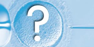 Questions About IVF