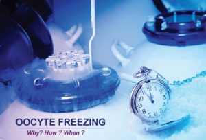 OocyteFreezing