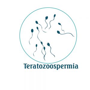 TeratozoospermiaVsNormal