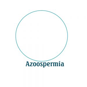 AzoospermiaVsNormo