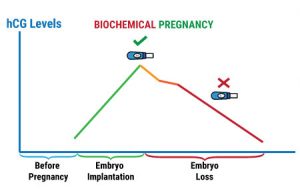 BioChemicalPrenancyTreatment