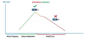 BiochemicalPregnancyTreatment