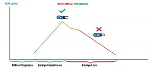 biochemical pregnancy hcg