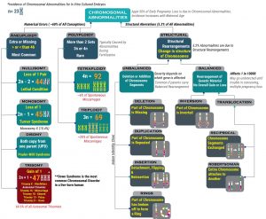 ClassificationOfGeneticAbnormalities