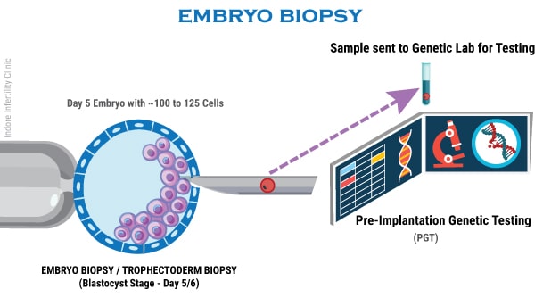 EmbryoBiopsyTechnique
