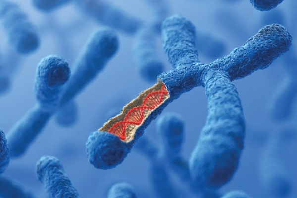 Types of Genetic Abnormalities