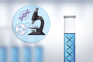 preimplantation genetic testing pgt