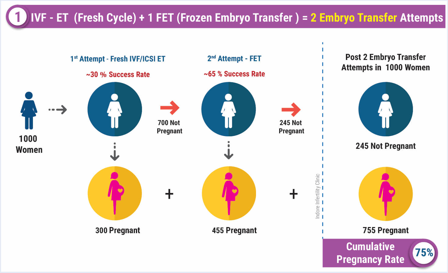 IVF Success Rate Amongst the Highest Success Rate in IVF