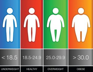 body mass index bmi