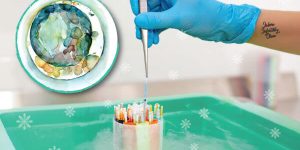 EmbryoFreezingSafety