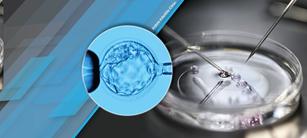 EmbryoBiopsyCostIndore