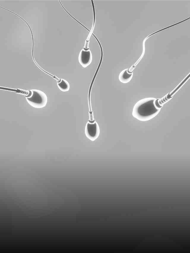 Lifestyle habit that are killing your sperm