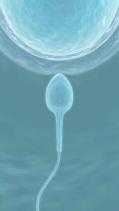 habits killing your sperm