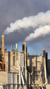 toxins and chemicals