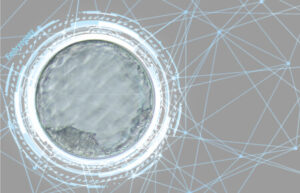 advance blastocyst culture
