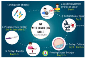 ivf with donor egg