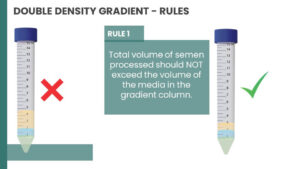 double density gradient rule number one