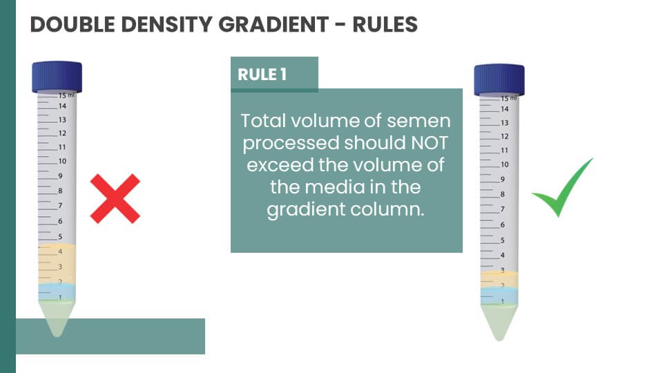 double density gradient rule number one