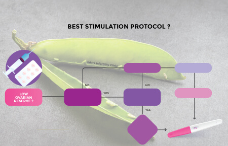 Best Stimulation Protocol For Poor Responders