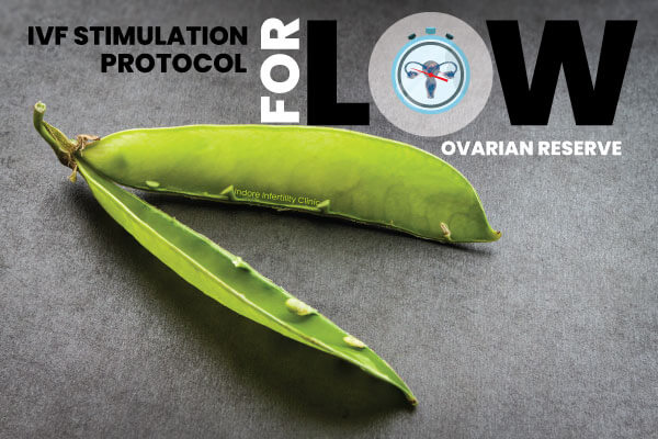Ivf stimulation for low ovarian reserve