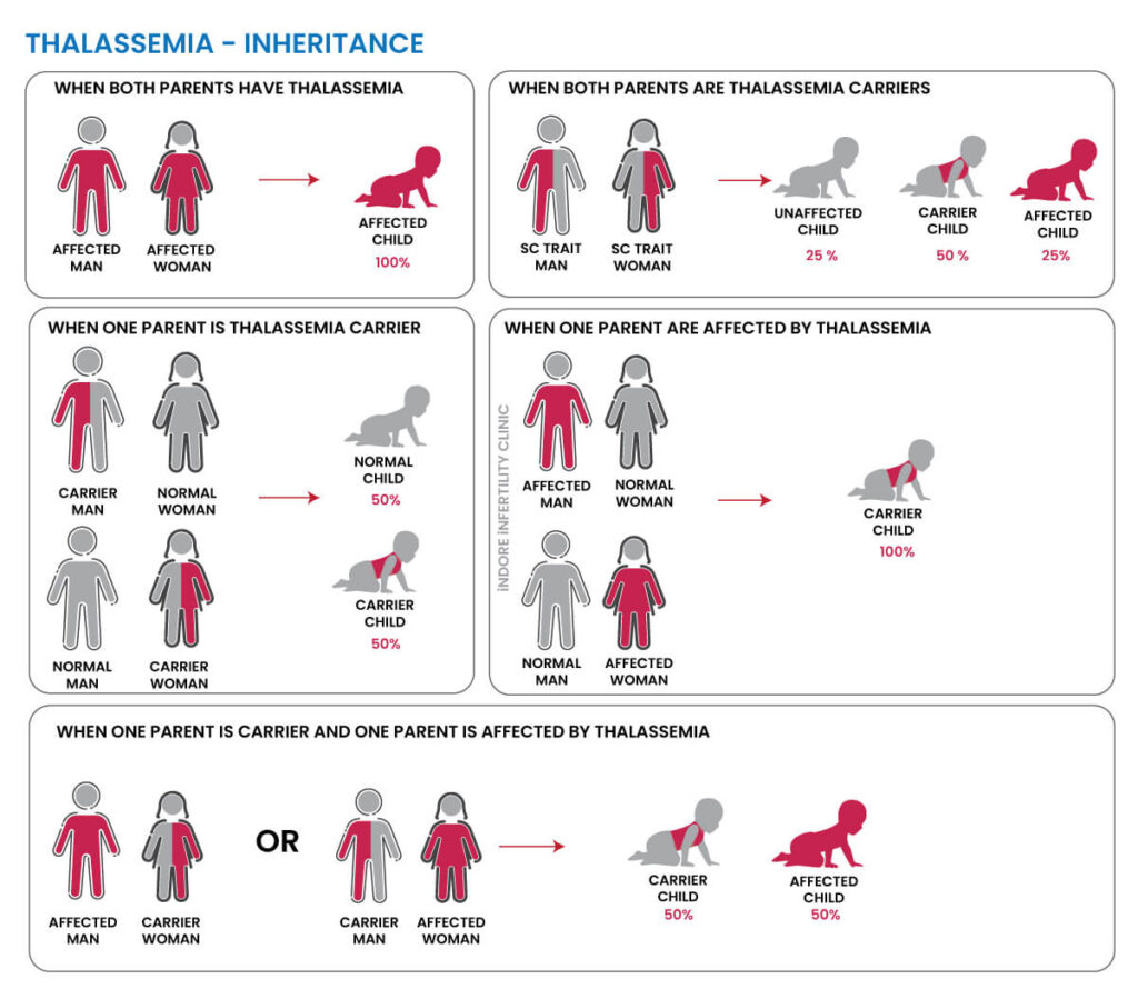 Thalassemia Inheritance