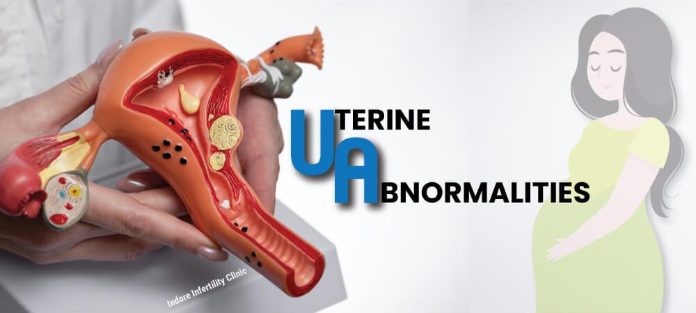 Pregnancy with uterine abnormalities