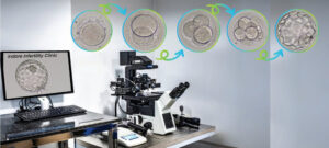EmbryoGradingForPatients