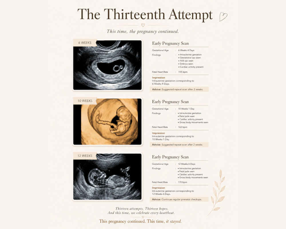 The Thirteenth Attempt!